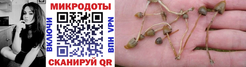 Галлюциногенные грибы GOLDEN TEACHER Северск