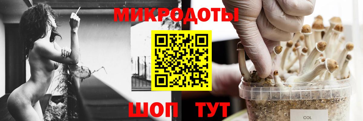Северск  Галлюциногенные грибы Magic Shrooms  Вход с VPN 